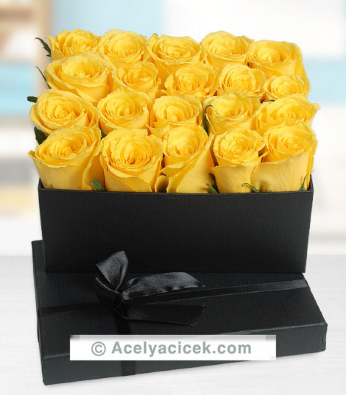 Kutu Sarı Güller